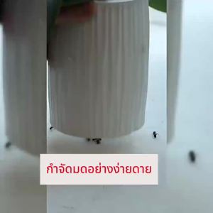 ANT BAIT กำจัดมด เจลกำจัดมด เหยื่อกำจัดมด เหยื่อมด เหยื่อล่อมด เจลมด เหยื่อฆ่ามด ยาฆ่ามด