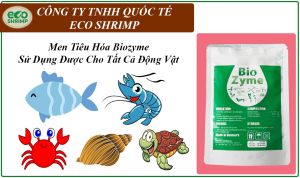 1 Gói Biozyme Men Vi Sinh Hữu Ích Hỗ Trợ Tiêu Hóa Vật Nuôi