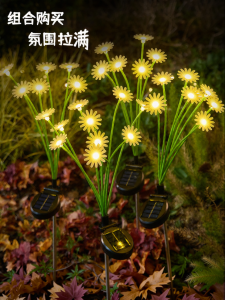 BEAUTY IN THE LIGHT | Outdoor Solar-Powered Automatic Night Light
