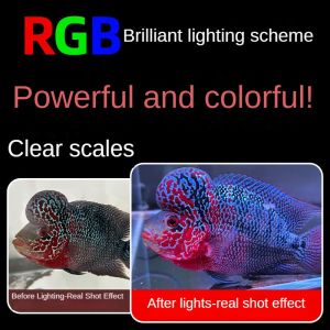 High brightness aquarium light/fish tank light/240 ° ultra wide angle/amphibious/LED waterproof three color enhancement light with three color changes