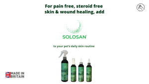Solosan Antiseptic Spray for Dogs and Cats