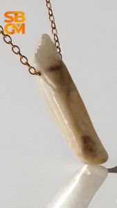 SBGM Jewelry Stainless Steel Non tarnish Lucky FengShui Citrine Crystal Pendant with Cable chain Necklace Jewelry Box