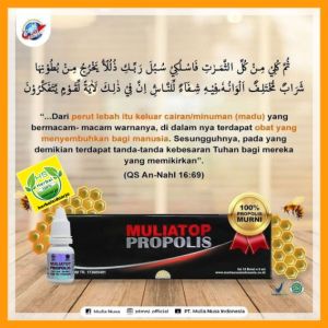 Propolis Muliatop Propolis isi 10 botol per paket. Bisa dikonsumsi mulai bayi sampai orang dewasa. Bisa untuk Kanker Asam Urat Asam Lambung Alergi Ambien Batu Hinjal Bronkitis Darah Rendah Darah Tinggi Demam dll