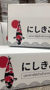 กล่องกระดาษลูกฟูกสำหรับการแพ็คปลาคาร์ฟขนส่งโดยเฉพาะ