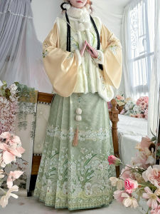 CHANMIAOYI | Original Ming-style Winter Thicker Hanfu Mianqun & Bib Jia