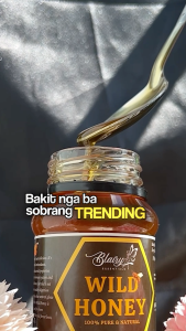 BLAIRY PURE WILD HONEY 330g | 400g Raw Honey Pure Honey Organic Honey Natural Honey  Wild honey local Philippine wild honey Wild forest honey Mountain honey Unprocessed honey Honey for cough Honey for skin Honey for immune system