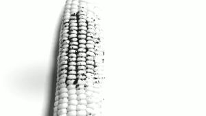 ของแท้นําเข้า Water Flosser เครื่องฉีดฟัน แรงดันน้ํา ไหมขัดฟันพลังน้ํา เครื่องพ่นน้ําทําความสะอาดฟัน AZ007 มีประกัน