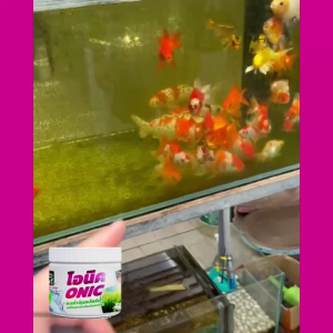 ONIC  โอนิค (ชุด 2 ถุง) ผงกำจัดตะไคร่น้ำ