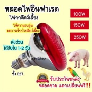 ไฟกกหมู  ไฟกกความร้อน ให้ความอบอุ่นสัตว์เลี้ยงไฟกกสัตว์เลี้ยง กกลูกไก่ กกนก หลอดไฟอินฟาเรด แบบหนา