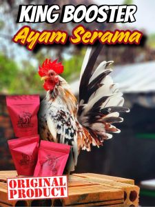 ⚡⚡𝐅𝐀𝐒𝐓 𝐒𝐇𝐈𝐏𝐏𝐈𝐍𝐆⚡⚡ 𝐊𝐈𝐍𝐆 𝐁𝐎𝐎𝐒𝐓𝐄𝐑 ✅𝐀𝐘𝐀𝐌 𝐒𝐄𝐑𝐀𝐌𝐀 🔴ORIGINAL🔴 BOOSTER SERAMA #AYAMCEPATGARANG #RAJINKOKOK #LEBIHAGRESIF #LEBIHSTAMINA