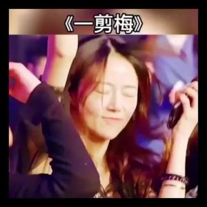 32G纯老歌DJ车载音乐U盘成名金曲MP4全dj百听不腻老歌新唱无损MP332G pure old songsDJ car music U disk famous golden songs MP4 full dj 100 listen to old songs new singing lossless MP3