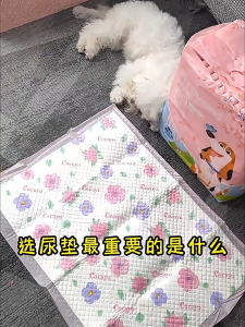 COCOYO Sakura Spring Pet Pee Pads - Elegant Floral Design with Superior Absorbency & Leak Proof Protection Multi Size Deodorizing Pee Pad 100/50/20/10 PCS Dog cage pee pads S-XL SIz