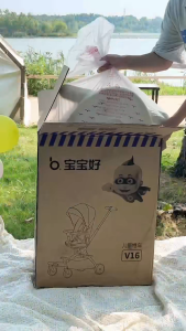 Baobaohao V16plus Baby Stroller 2 Way Foldable Lightweight Cabin Travel with Tray (Upgrade Canopy)