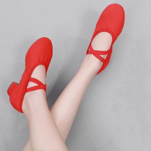 Ballet Dance Shoes Lace-up Free Soft Sole Training Canvas Shoes Female Shape Ballet Indoor and Outdoor Rubber Heel Dance Shoes