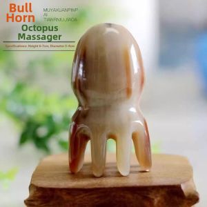 DONGZHIHUI | Octopus Head Scalp Massage Comb
