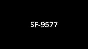 Sonifer Hair Straightener Anti Static Hair Iron Straightener Flat Iron Plantsa For Hair Care