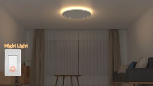 LED Ceiling Light for Room 24W 18W Ceiling Lamp with Night Light for Bedroom Kitchen Living Room