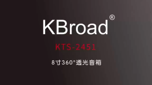Bts.Shop KTS-2451 Outdoor Portable 8-inch Wireless Bluetooth RGB Speaker