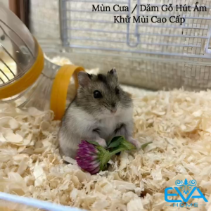 Mùn Cưa/Dăm Gỗ Hút Ẩm Khử Mùi Cao Cấp - Thích Hợp Lót Chuồng Thú Cưng Nuôi Côn Trùng