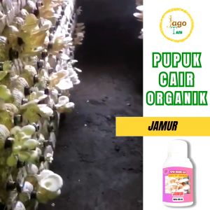 Pupuk Organik Cair Jamur 100 Ml Booster Percepat Masa Tumbuh Dan Melebatkan By Jagotani Yogyakarta