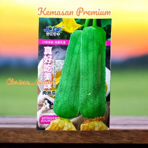 (KEMASAN PREMIUM) BIJI/BENIH TANAMAN LOOFAH | BLUSTRU CHINESSE