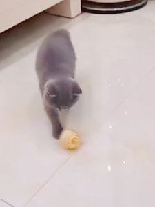 Pet cat Sisal Ball Interactive Cat teaser ball scratch resistant Cat toy ball Bite Resistant