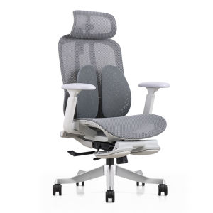 Ergonomic Chair Computer Chair Gaming Boss Office