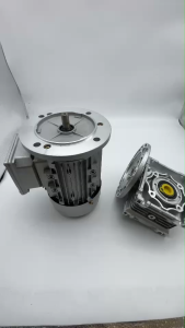 มอเตอร์เกียร์ไฟฟ้ากระแสสลับ ขนาด180W 380V/220V 3phase พร้อมหน้าแปน รูเพลา 18 มิลลิเมตร เกียร์ 20:1