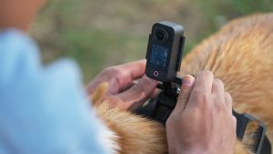 SJCAM C300 asli cadangan dapat diisi ulang baterai C300