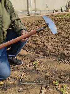 23cm Half Moon Weeding Shovel Head Heavy Duty High Carbon Steel Garden Hoe Sharp Grass Cutter Asarol Pang Gamas Tool Heavy Duty Manganese Steel Weeding Hoe Head 23cm Half Circle Push Shovel Sharp Weed Remover Soil Loosening Farm Tool