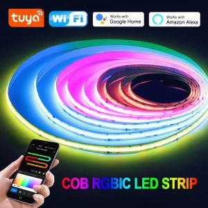 Creative Smart RGBIC COB LED Strip Light 24V 714LEDs/m Dreamcolor RGB Tape Remote/Bluetooth/Wifi Control Led Ribbon For Indoor DIY Decor