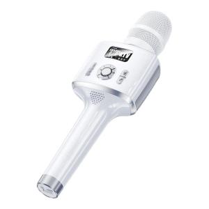 kinyo | Loud KTV Microphone Speaker Set