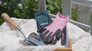 Berry & Bird Heart Shaped Stainless Steel Hand Trowel - Ergonomic Design for Gardening Durable and Rust-Resistant Tool for Planting and Weeding