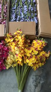 (21 Kuntum) Bunga Anggrek Mini Artificial/Bunga Artificial Dekorasi