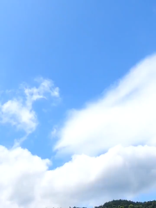 Waterproof  Picnic Mat Lightweight Camping Mat Tikar Lipat Easy Carry Blanket Camping Mat