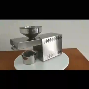 1500W Automatic Family Small Oil Press Machine 304 Stainless Steel Cold And Hot Press Home Oil Press Machine