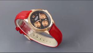 Paket Box Exclusive + Paperbag + Buku Manual / Jam Tangan Coach Chrono Variasi VA-975DA / Jam Tangan Fashion Wanita Tali Kulit Diameter 38 cm