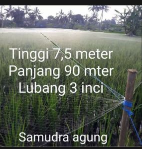 jaring burung jaring padi lubang 3 inci bonus 2 tali bisa jg untuk jaring sawah untuk burung tekukur ruak kelelawar dll