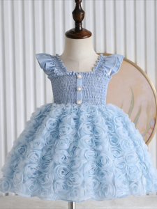 Girls Sky Blue Tulle Dress - 3D Rose Appliqué Skirt Pearl Buttons Vintage Chic Party Gown