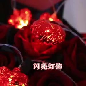 Red Love LED String Lights Warm White Fairy Lights Battery Operated Decorative Lights for Bedroom Garden Party Holiday Decor