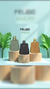 Feligio Andri Backpack Tas Wanita Ransel Wanita
