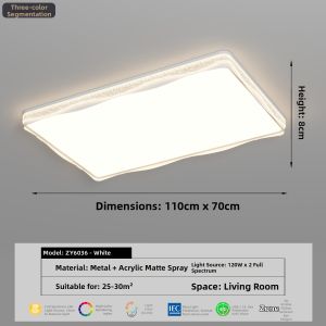 FANZHEN | Minimalist Luxury Ceiling Light