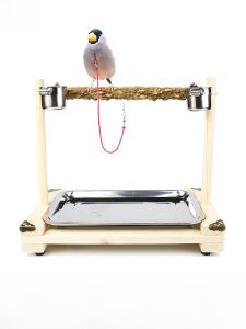 Bird Standing Bar Stands for Parrots Training Bird Supplies Peacocks Pigeons Canaries Cage Accessories Birdcare Equipment