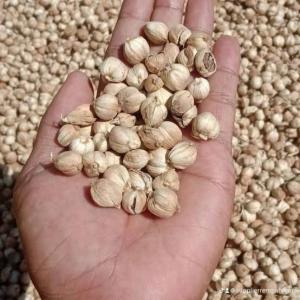 Kapulaga kering alami hasil langsung dari petani