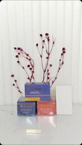 ( Gratis Masker Wajah !! ) BERRIJOY Paket 4in1 Cream Siang dan Malam Sabun Batang Toner Cream Berrijoy Kompit