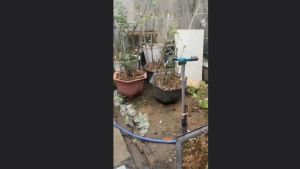 Đầu Vòi tưới cây phun nước tự động thông minh xoay tròn 360 độ tưới cỏ phun mưa làm mát mái tônmát sân - tiết kiệm nước