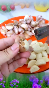 【Multi-Function】Stainless Steel Manual Garlic Peeling Clip Vegetable Nut Shell Remover Tool Garlic Plucking Tweezers