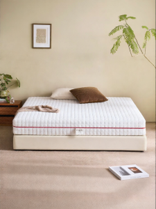 Zero Glue Washable Natural Latex Spinal Support Mattress