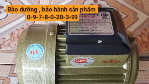 Mô tơ điện toàn phát 15hp - vòng tua 2900v/p