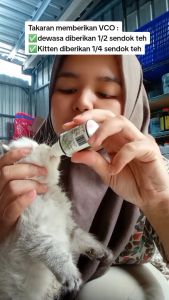 Minyak VCO Premium Obat Jamur dan Scabies Hewan Isi - Botol Tetes 30ml